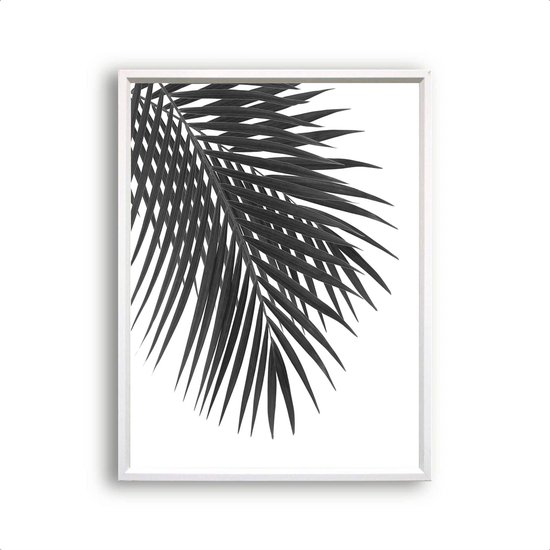 Poster Palmboom blad Links Zwart / Wit - Tropisch Blad - Planten Poster - Muurdecoratie - 70x50cm - PosterCity