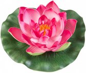 waterlelie Lotus 17 cm foam fuchsia/groen