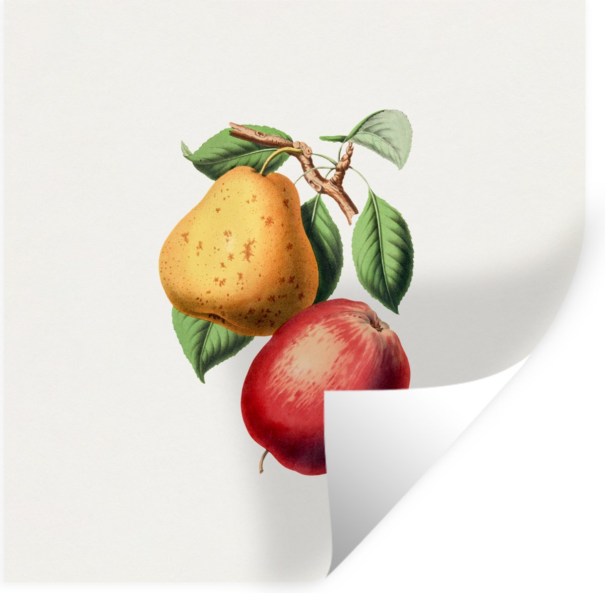 Muurstickers - Sticker Folie - Fruit - Lente - Bladeren - 100x100 cm - Plakfolie - Muursti