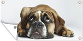 Schuttingposter Hond - Huisdieren - Wit - 200x100 cm - Tuindoek