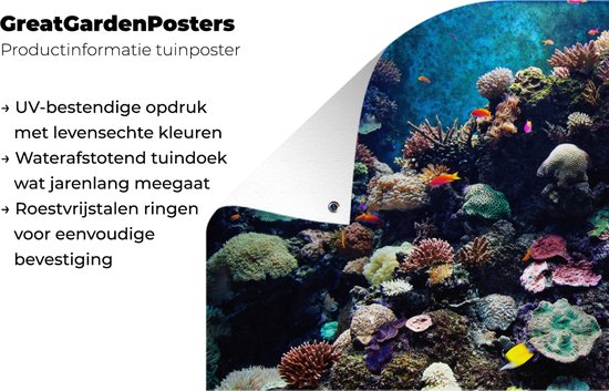 Affiche de clôture Aquarium avec poissons tropicaux et coraux - 200x100 cm - Toile de jardin