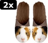 2x - PANTOFFEL CAVIA MAAT 35-38