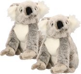 2x stuks pluche knuffel koala beer 25 cm - Australische dieren knuffels