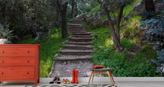 450cm X Papier peint photo - Papier Peint - Escaliers dans la forêt, vert, Belle sur votre mur, 11 tailles, y compris la colle à papier peint