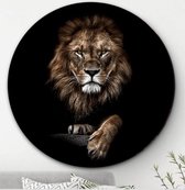 Lion | Plexiglas Wandcirkel | ⌀50cm | Rond Schilderij | Anywall.nl