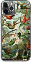 Case Company® - iPhone 11 Pro hoesje - Haeckel Trochilidae - Soft Cover Telefoonhoesje - Bescherming aan alle Kanten en Schermrand
