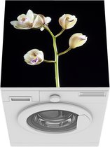 Wasmachine beschermer mat - Een tak met orchideeën op een zwarte achtergrond - Breedte 60 cm x hoogte 60 cm