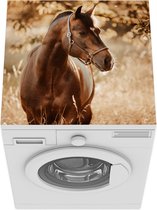 Wasmachine beschermer mat - Paard - Zon - Portret - Breedte 60 cm x hoogte 60 cm