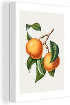 Canvas Schilderij Sinaasappel - Fruit - Bladeren - 90x120 cm - Wanddecoratie