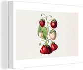 Canvas Schilderij Aardbeien - Fruit - Gezond - 60x40 cm - Wanddecoratie