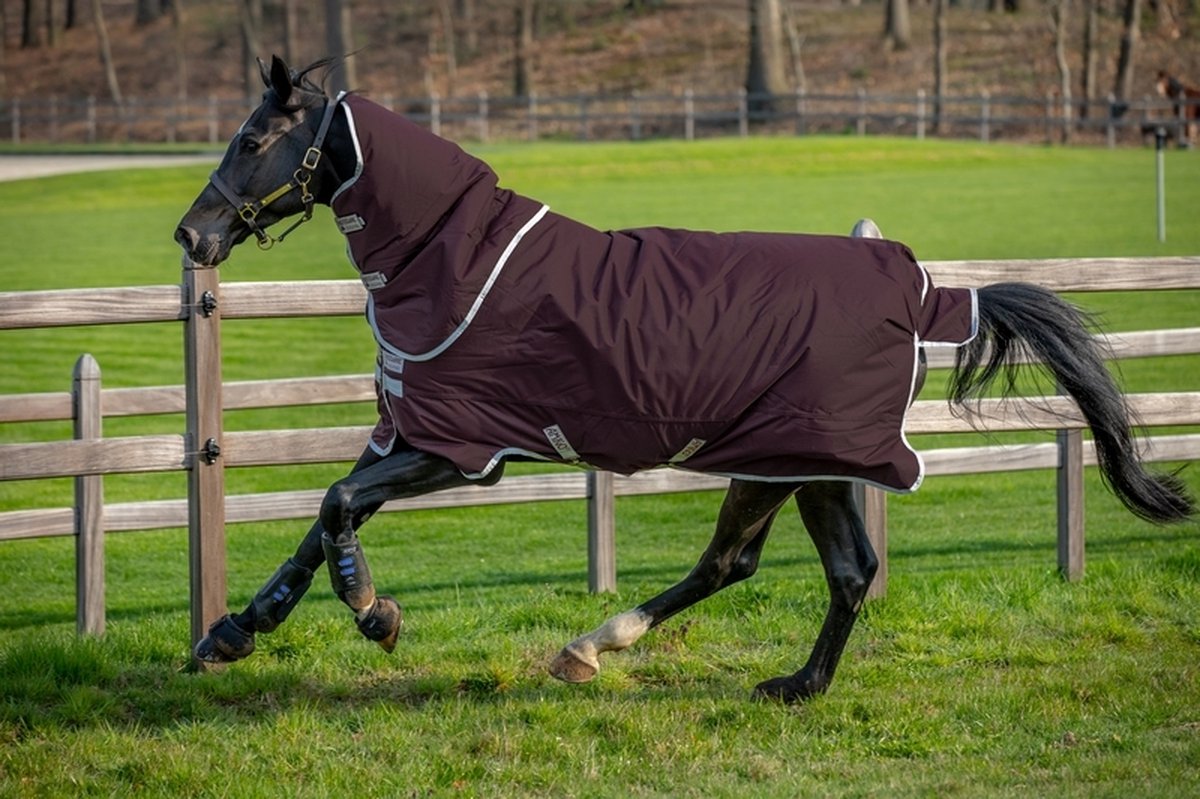 Horseware Amigo Hero Ripstop Plus Medium 200grs - maat 155/206 - fig/silver