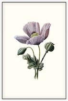 Slaapbol (Poppy White) - Foto op Akoestisch paneel - 100 x 150 cm