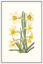 Gele Narcis Aquarel (Daffodil) - Foto op Akoestisch paneel - 60 x 90 cm