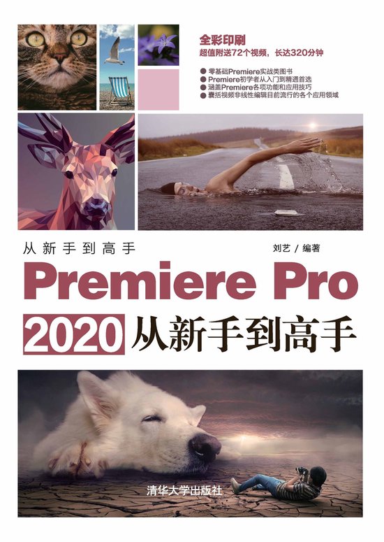 从新手到高手：InVideo全面解析与实用技巧分享 (从新手到高手班主任该怎么办 读后感)