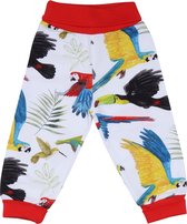 The Birds Of Rainforest Broeken Broeken & Jeans Bio-Kinderkleding