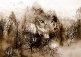 Papier peint photo - Mountain Predator (Marron).