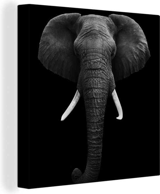 Canvas - Dieren - Olifant - Zwart - Wit - Muurdecoratie - 20x20 cm - Foto op canvas - Canvas schilderijen woonkamer
