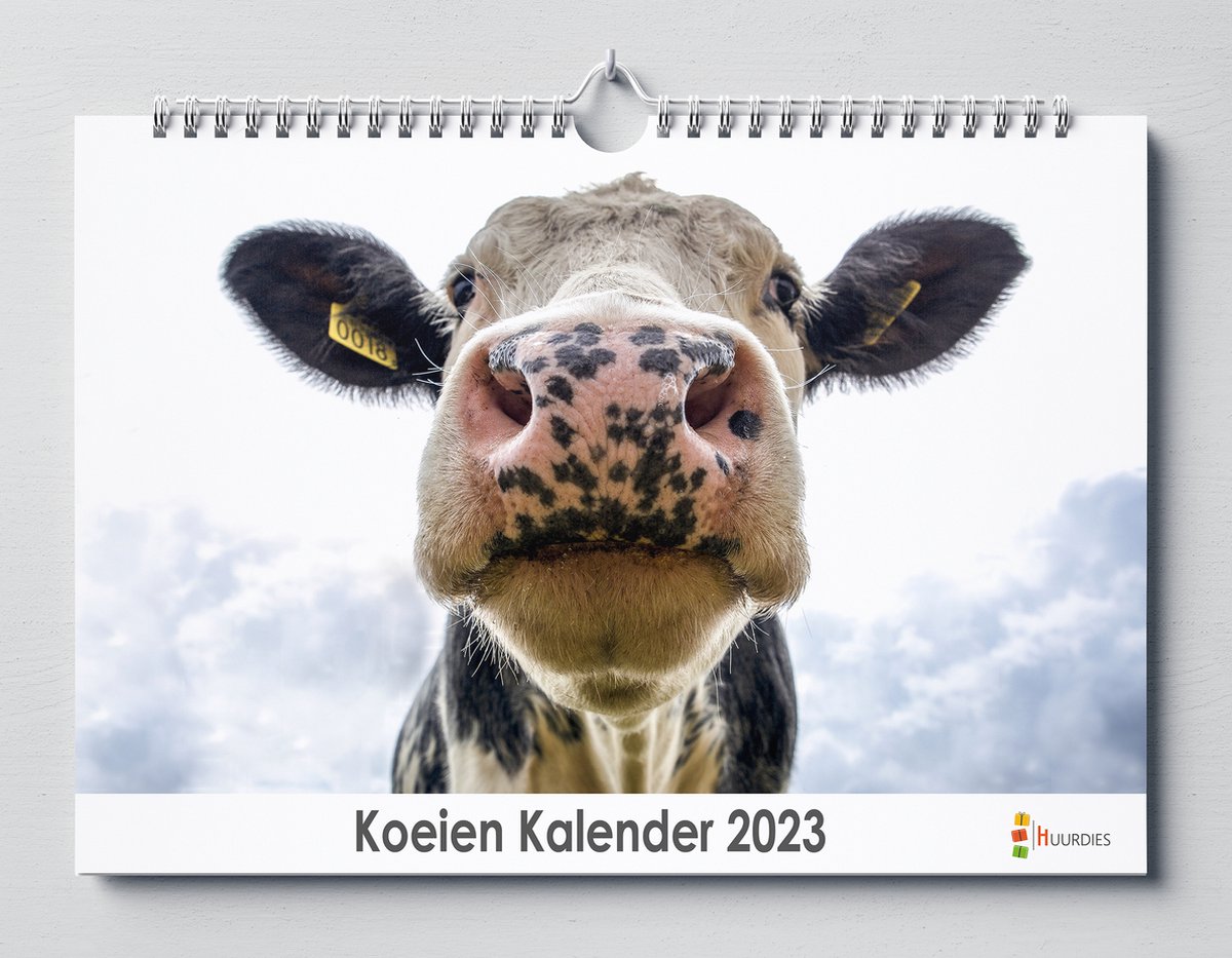 Koeien kalender 2023 | 35x24 cm | jaarkalender 2023 | Wandkalender 2023