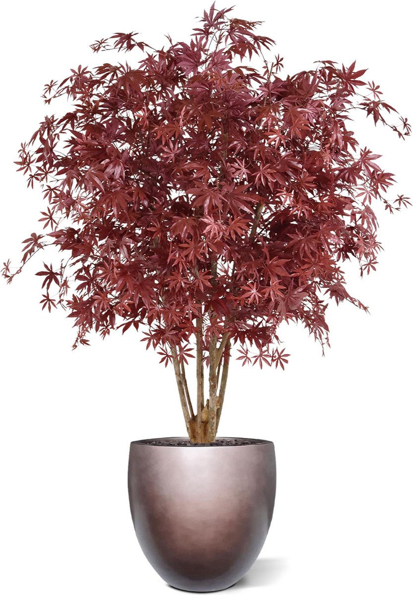 maxifleur Kunstplanten Acer Maple deluxe kunstboom 165cm - burgundy Rood