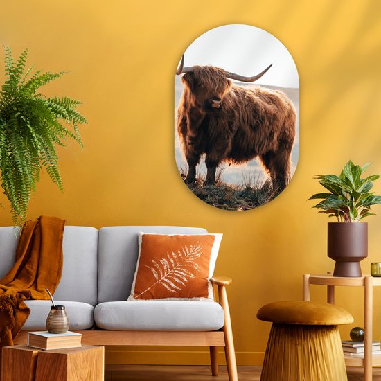 Ovale mural - Ovale mural - Décoration murale murale en plastique - Tableau ovale - Highlander écossais - Animaux - Rural - Paysage - Vache - Nature - 60x90 cm - Forme miroir ovale sur plastique