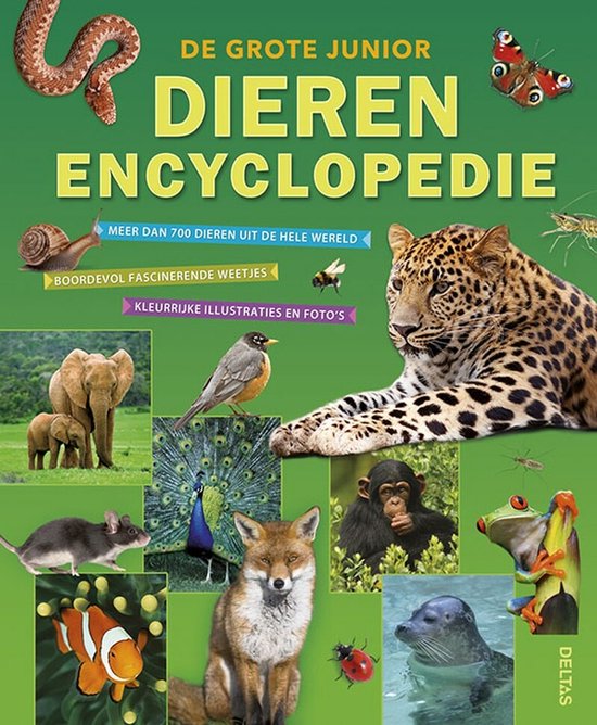 De grote junior dierenencyclopedie - cover