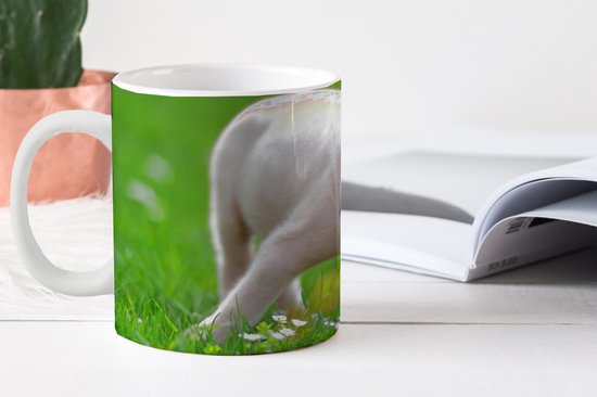 Mug - Mug à café - Animaux - Porcinet - Cochon - Mugs - 350 ML - Tasse - Mugs à café - Mug à thé