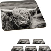 Onderzetters voor glazen - Schotse hooglander - Koe - Dieren - Zwart wit - Landelijk - 10x10 cm - Glasonderzetters - 6 stuks