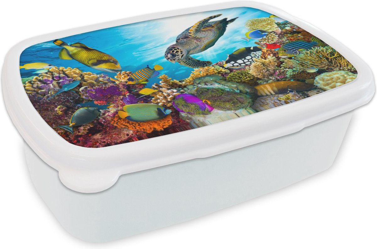 Broodtrommel Wit - Lunchbox - Brooddoos - Schildpad - Zee - Koraal - 18x12x6 cm - Volwassenen