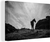 Canvas Schilderij Paard - Wolken - Weide - 120x80 cm - Wanddecoratie