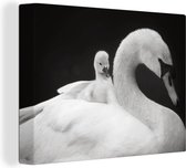 Tableau sur toile Profil animal cygne avec petit en noir et blanc - 40x30 cm - Décoration murale