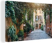 Rose à Rome 90x60 cm - Tirage photo sur toile (Décoration murale salon / chambre)