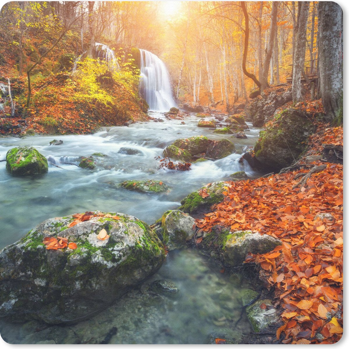 Muismat 20x20 cm - Mousepad Natuur - Zon - Herfst - Muismatten