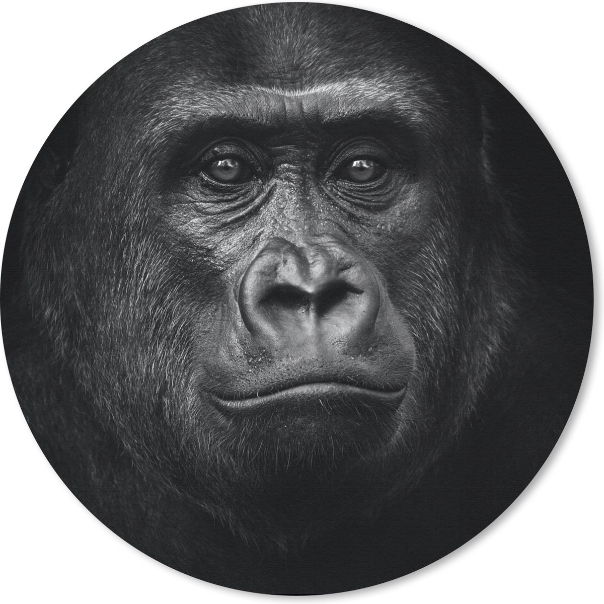 Muismat - Mousepad - Rond - Gorilla - Zwart - Wit - Dieren - Portret - 30x30 cm - Ronde muismat