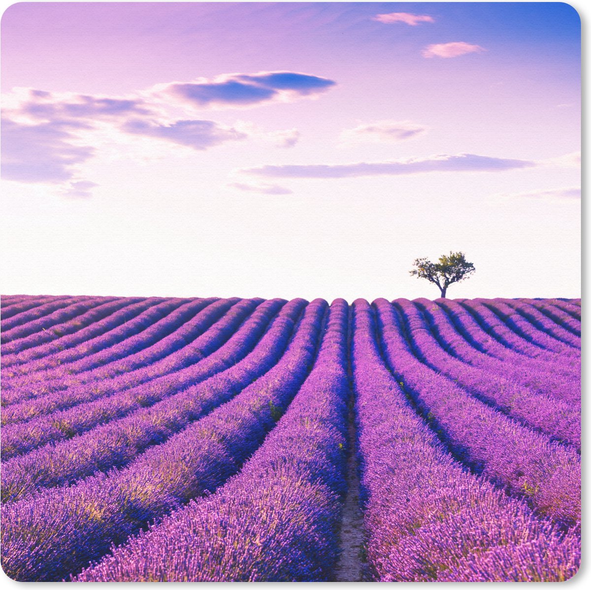 Muismat 20x20 cm - Mousepad Lavendel - Bomen - Paars - Bloemen - Muismatten