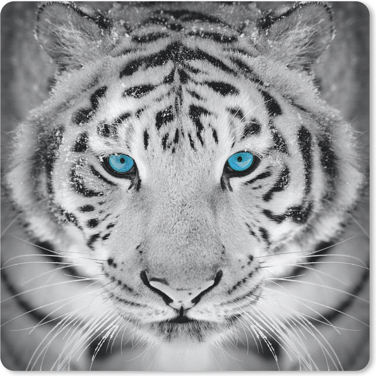 Muismat 20x20 cm - Mousepad Dieren - Tijger - Ogen - Blauw - Zwart wit - Muismatten