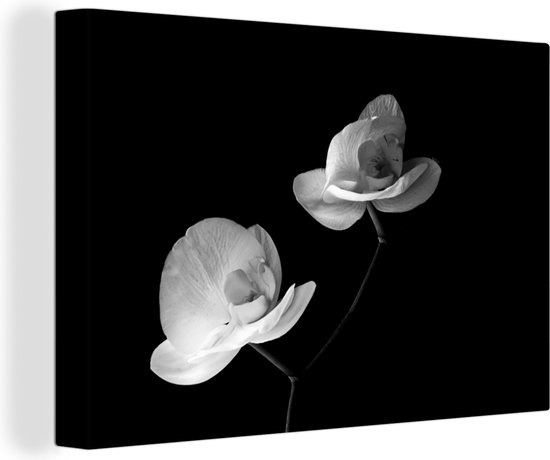 Canvas Schilderij Orchidee - Bloemen - Zwart - Wit - Stilleven - 90x60 cm - Wanddecoratie