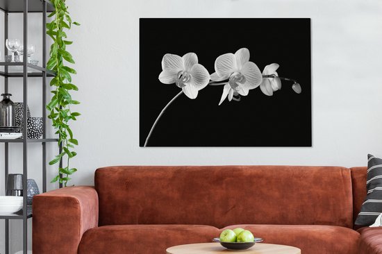 Canvas schilderij 120x90 cm - Wanddecoratie Orchidee - Bloemen - Zwart - Roze - Knoppen - Muurdecoratie woonkamer - Slaapkamer decoratie - Kamer accessoires - Schilderijen op canvas