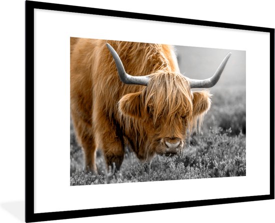 Fotolijst incl. Poster - Schotse Hooglander - Dieren - Bruin - Koe - Zwart - Wit - Natuur - 120x80 cm - Posterlijst