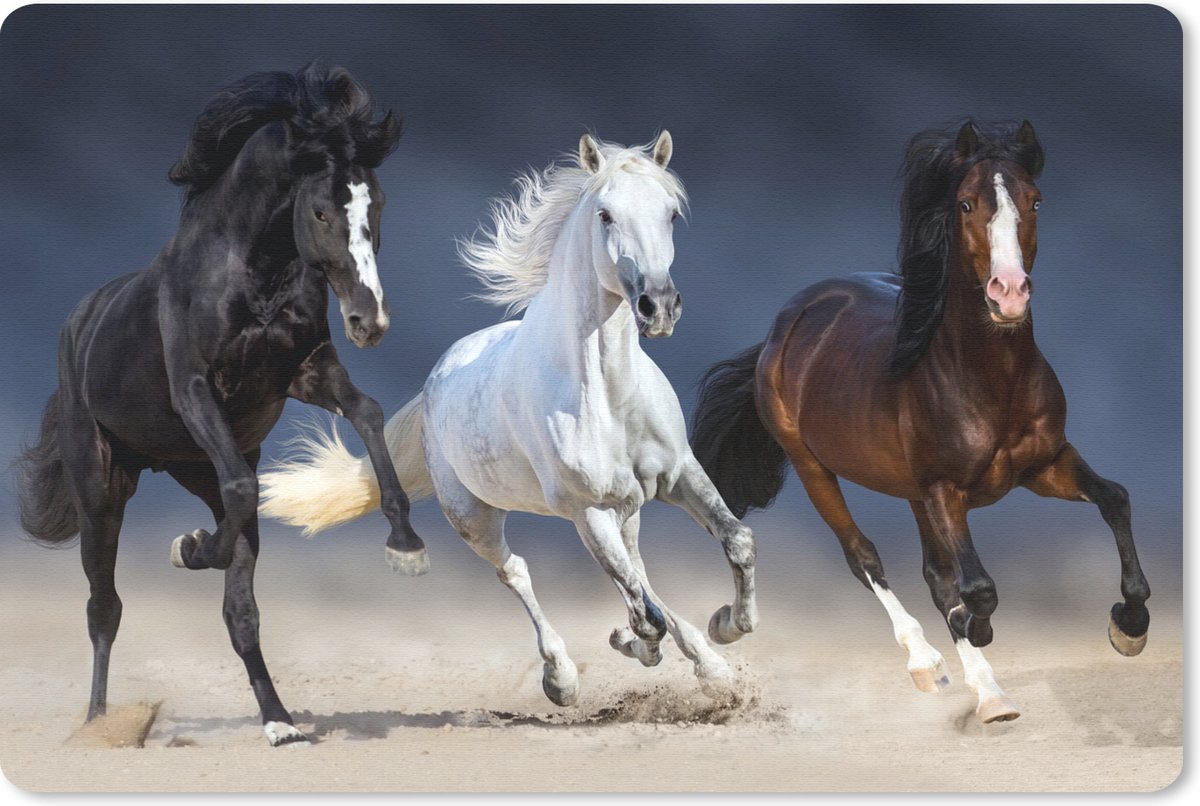Muismat 27x18 cm - Mousepad Paarden - Dieren - Zand - Muismatten