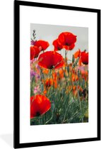 Fotolijst incl. Poster - Klaproos - Bloemen - Rood - Paars - Weide - 60x90 cm - Posterlijst