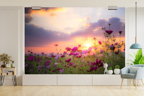 Champ de fleurs avec des fleurs roses au crépuscule 600x400 cm