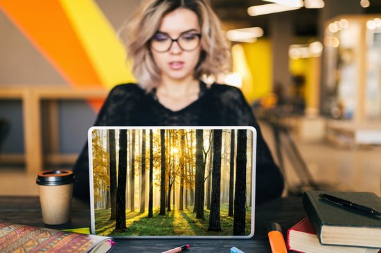Autocollant pour ordinateur portable - 12,3 pouces - Forêt - Soleil - Arbres - Herbe - Paysage - Nature - 30x22cm - Autocollants pour ordinateur portable - Skin pour ordinateur portable - Housse