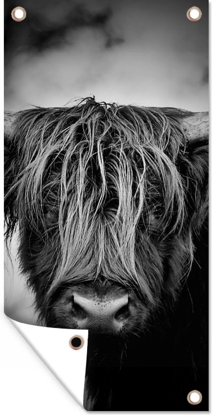 Affiche de jardin Highlander écossais - Lumière - Portrait - Nature - 40x80 cm - Décoration murale Outdoor - Affiche de jardin - Toile de jardin - Affiche de clôture - Tableau de jardin