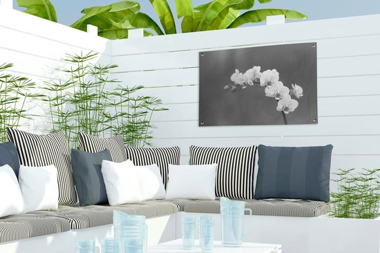 Décoration de jardin Orchidée - Fleurs - Plante - Wit - Violet - 60x40 cm - Poster jardin - Toile jardin - Poster extérieur