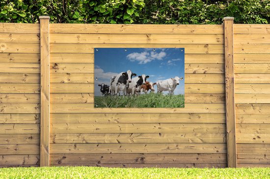Affiche jardin - Toile jardin - Affiches jardin extérieur - Vaches - Campagne - Pâturage - Nature - Animaux - Posters de jardin cm - Jardin