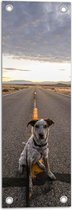 WallClassics - Tuinposter – Brave Hond Zit op de Weg - 20x60 cm Foto op Tuinposter  (wanddecoratie voor buiten en binnen)