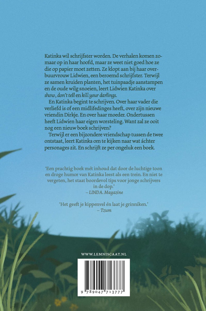 Hoe ik per ongeluk een boek schreef - back cover