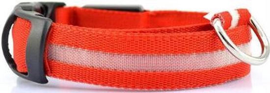 Professor Q Led Halsband Hond - Usb Oplaadbaar 20-70 CM - Rood - Led