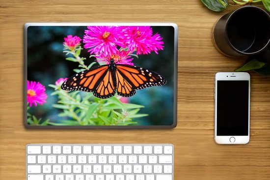 Autocollant pour ordinateur portable - 11,6 pouces - Papillon - Botanique - Fleurs - 30x21cm - Autocollants pour ordinateur portable - Peau pour ordinateur portable - Couverture