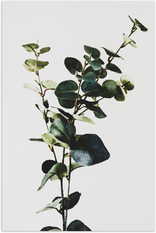 Minimalistische En Eenvoudige Vectorstyle Afbeelding Van Een Plant Met Een Dunne Groene Stengel En Ronde Gele Bloemen 94076911